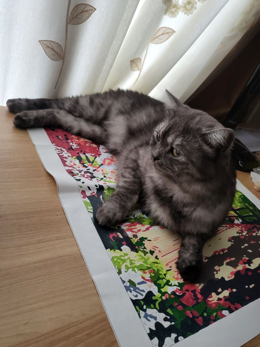 츮 