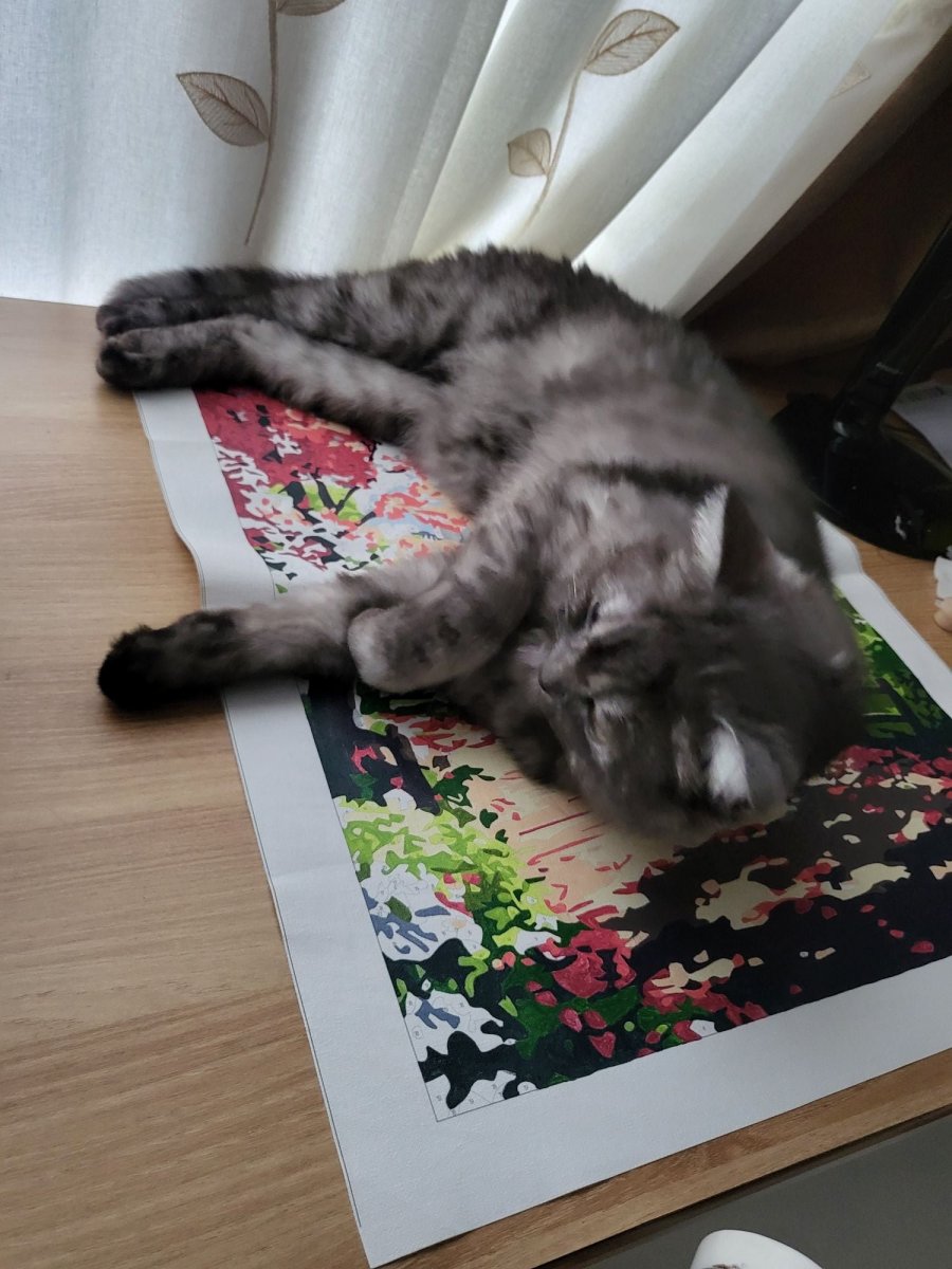 츮 