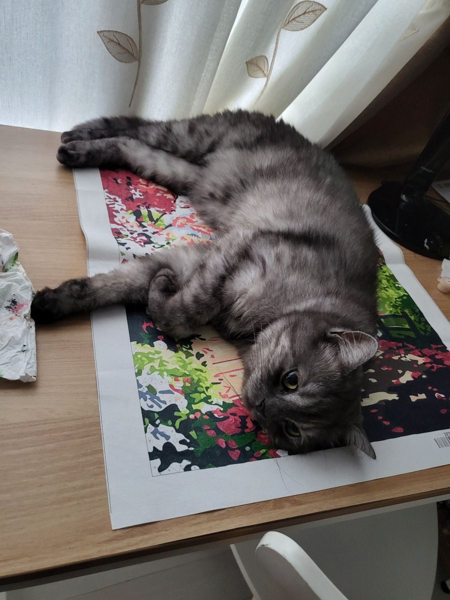 츮 