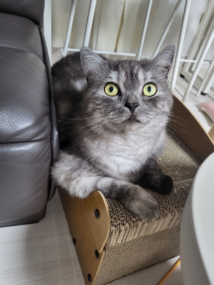 츮 
