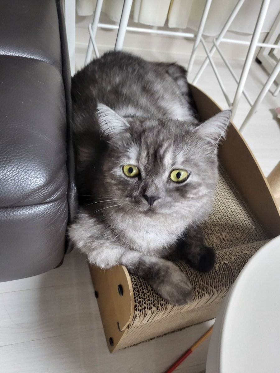 츮 