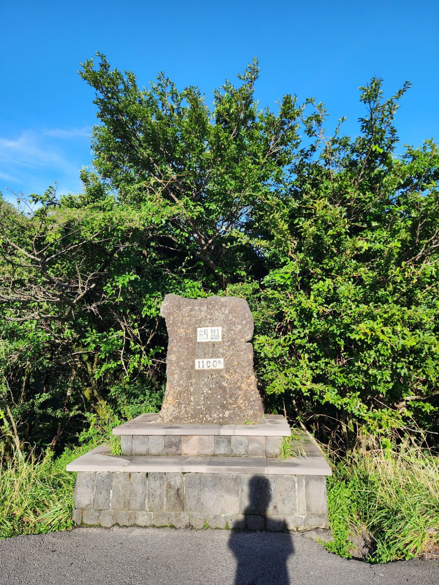  1100 