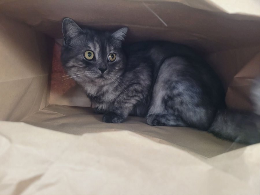 츮 