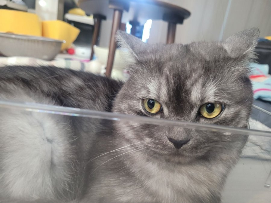 츮 