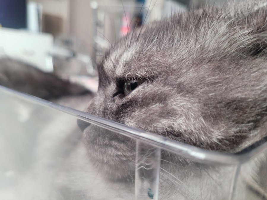 츮 