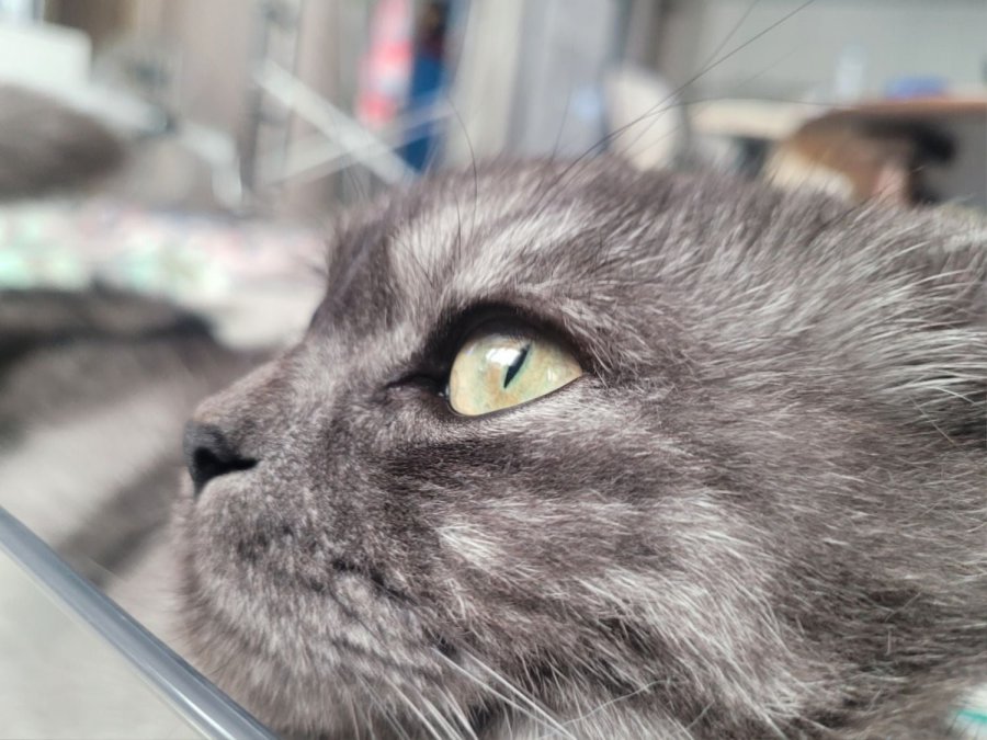 츮 